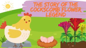 The story of the Cockscomb Flower legend