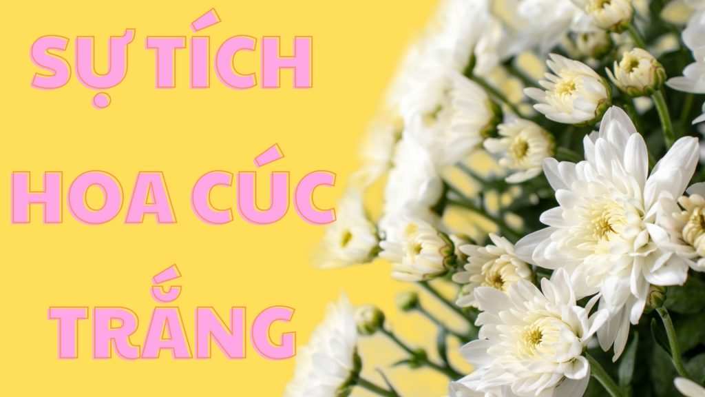 chuyen co tich nuoc ngoai su tich hoa cuc trang