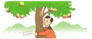 SỰ TÍCH CÂY VÚ SỮA