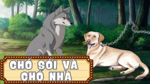 truyện ngụ ngôn Chó sói và chó nhà chị xí muội kể chuyện