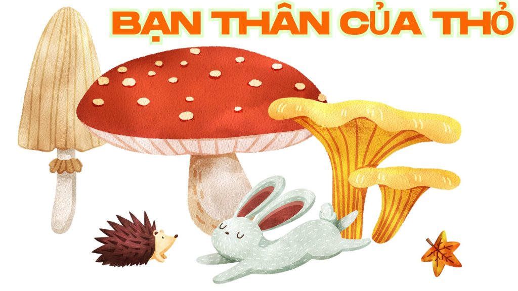 TRUYỆN THIẾU NHI BẠN THÂN CỦA THỎ